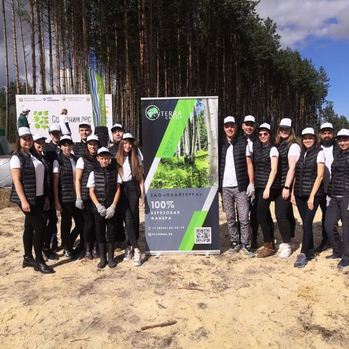 Plyterra Group присоединилась к акции «Сохраним лес»